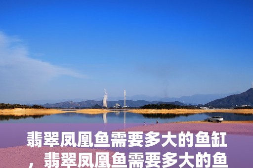 翡翠鳳凰魚需要多大的魚缸，翡翠鳳凰魚需要多大的魚缸,