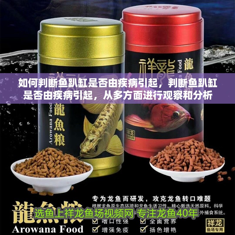 如何判斷魚(yú)趴缸是否由疾病引起，判斷魚(yú)趴缸是否由疾病引起，從多方面進(jìn)行觀察和分析