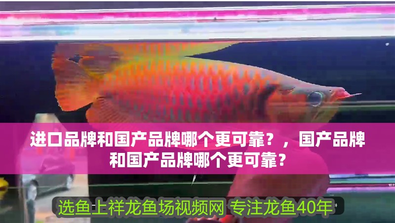 進(jìn)口品牌和國(guó)產(chǎn)品牌哪個(gè)更可靠？，國(guó)產(chǎn)品牌和國(guó)產(chǎn)品牌哪個(gè)更可靠？