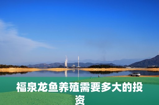 福泉龍魚養(yǎng)殖需要多大的投資