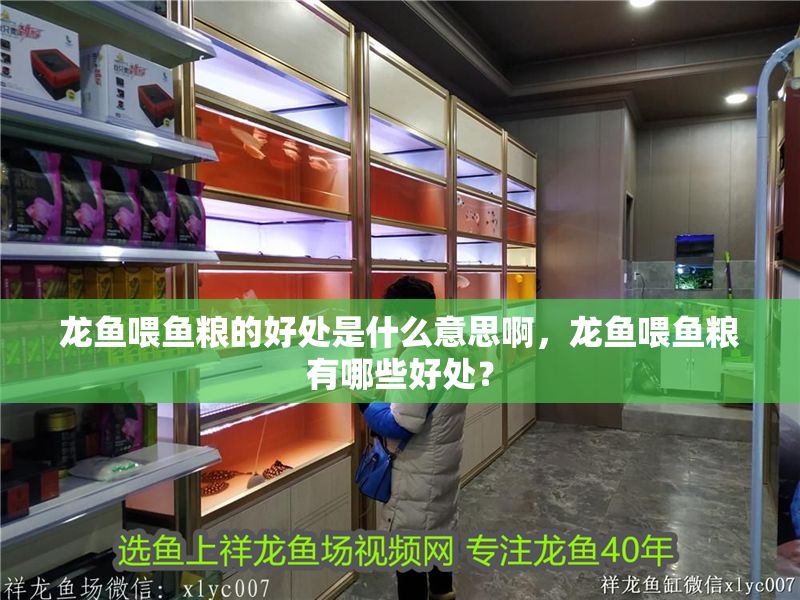 龍魚(yú)喂魚(yú)糧的好處是什么意思啊，龍魚(yú)喂魚(yú)糧有哪些好處？