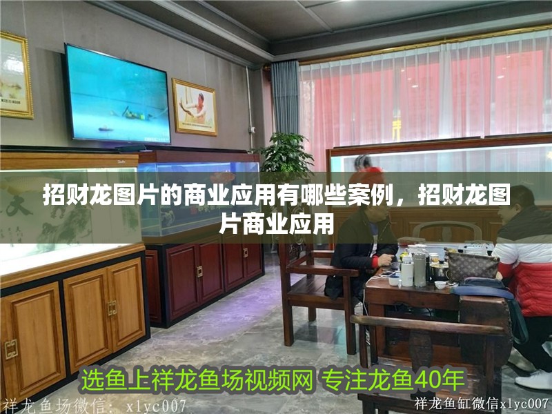招財龍圖片的商業應用有哪些案例，招財龍圖片商業應用
