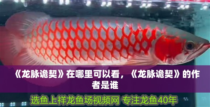 《龍脈詭契》在哪里可以看，《龍脈詭契》的作者是誰