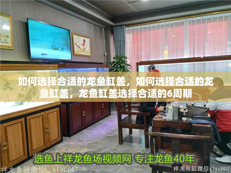 如何選擇合適的龍魚缸蓋，如何選擇合適的龍魚缸蓋，龍魚缸蓋選擇合適的6周期