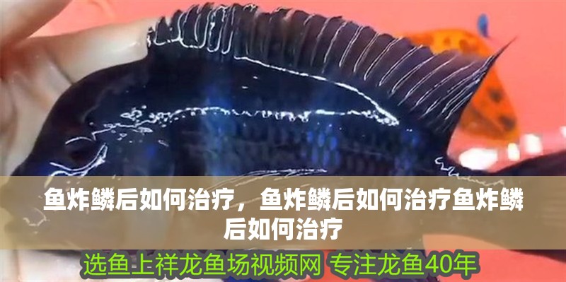 魚炸鱗后如何治療，魚炸鱗后如何治療魚炸鱗后如何治療