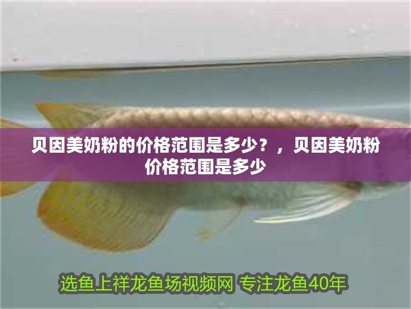 貝因美奶粉的價格范圍是多少？，貝因美奶粉價格范圍是多少