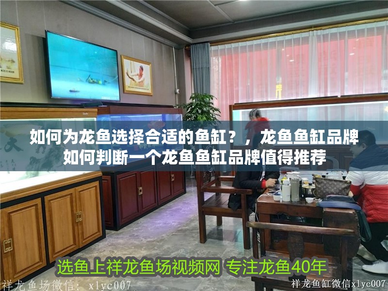 如何為龍魚選擇合適的魚缸？，龍魚魚缸品牌如何判斷一個龍魚魚缸品牌值得推薦