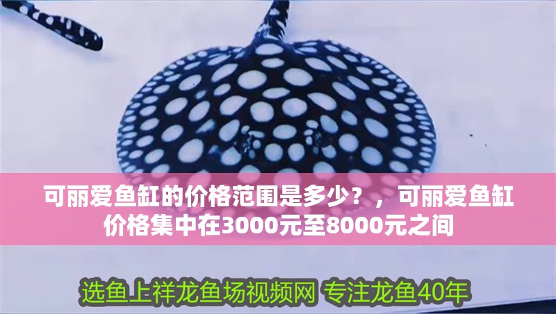 可麗愛魚缸的價格范圍是多少？，可麗愛魚缸價格集中在3000元至8000元之間