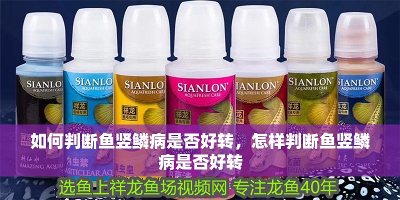 如何判斷魚豎鱗病是否好轉，怎樣判斷魚豎鱗病是否好轉