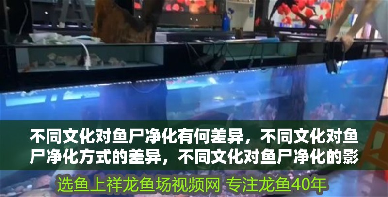 不同文化對魚尸凈化有何差異，不同文化對魚尸凈化方式的差異，不同文化對魚尸凈化的影響