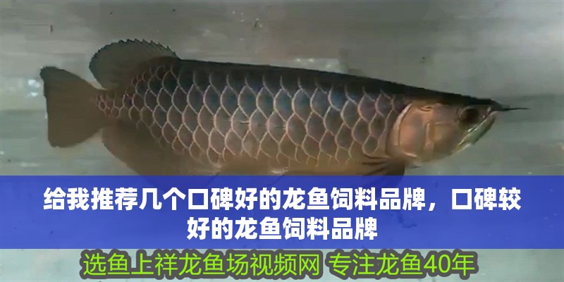給我推薦幾個(gè)口碑好的龍魚飼料品牌，口碑較好的龍魚飼料品牌