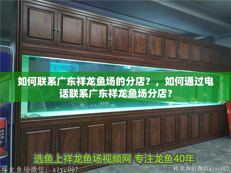 如何聯系廣東祥龍魚場的分店？，如何通過電話聯系廣東祥龍魚場分店？