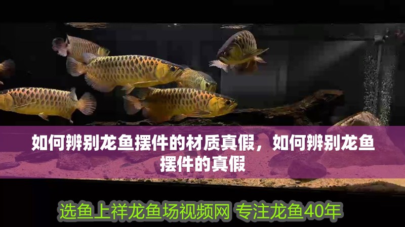 如何辨別龍魚擺件的材質真假，如何辨別龍魚擺件的真假