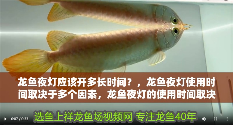 龍魚夜燈應該開多長時間？，龍魚夜燈使用時間取決于多個因素，龍魚夜燈的使用時間取決于多個因素