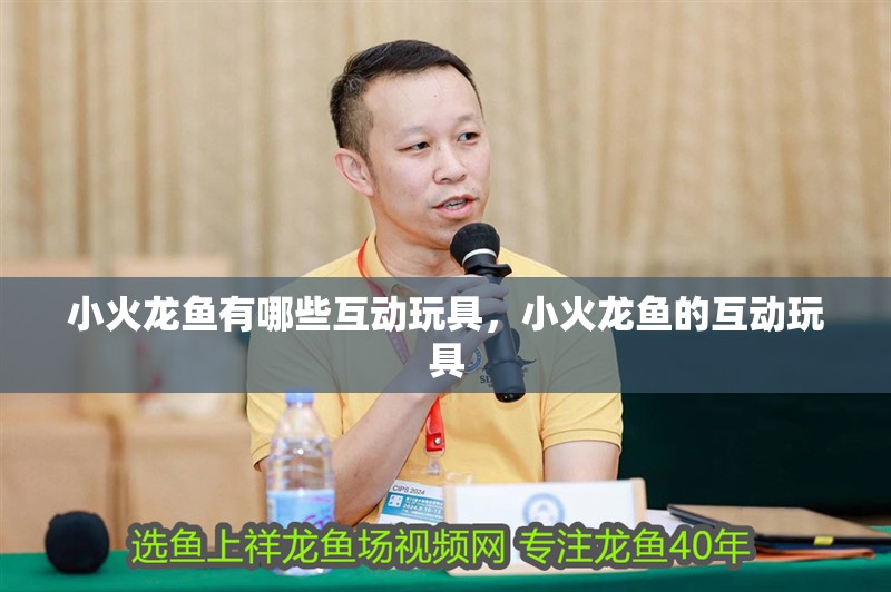 小火龍魚有哪些互動玩具，小火龍魚的互動玩具