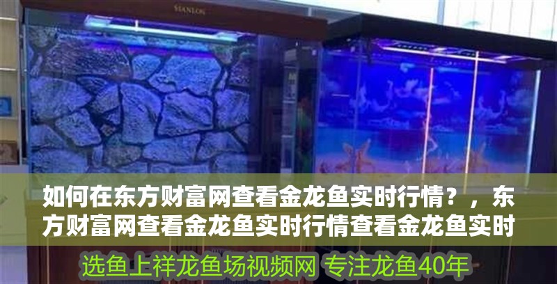 如何在東方財富網查看金龍魚實時行情？，東方財富網查看金龍魚實時行情查看金龍魚實時行情