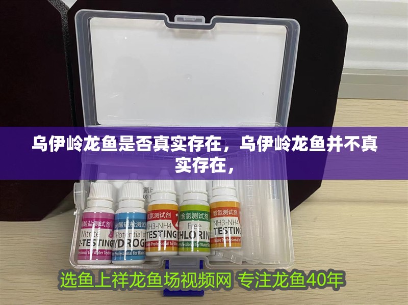 烏伊嶺龍魚是否真實存在，烏伊嶺龍魚并不真實存在，