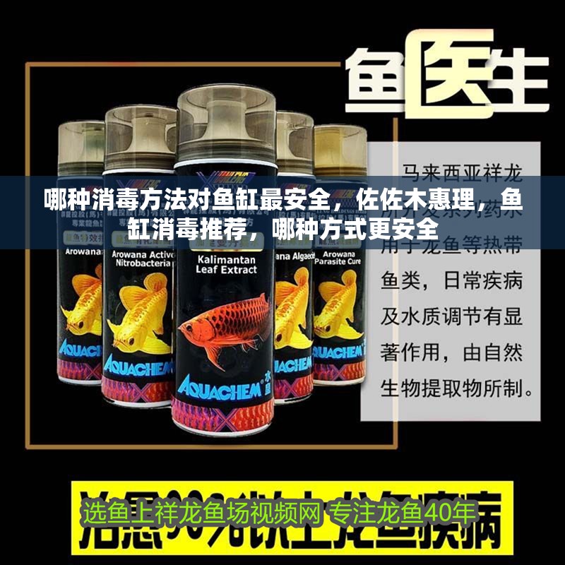 哪種消毒方法對魚缸最安全，佐佐木惠理，魚缸消毒推薦，哪種方式更安全