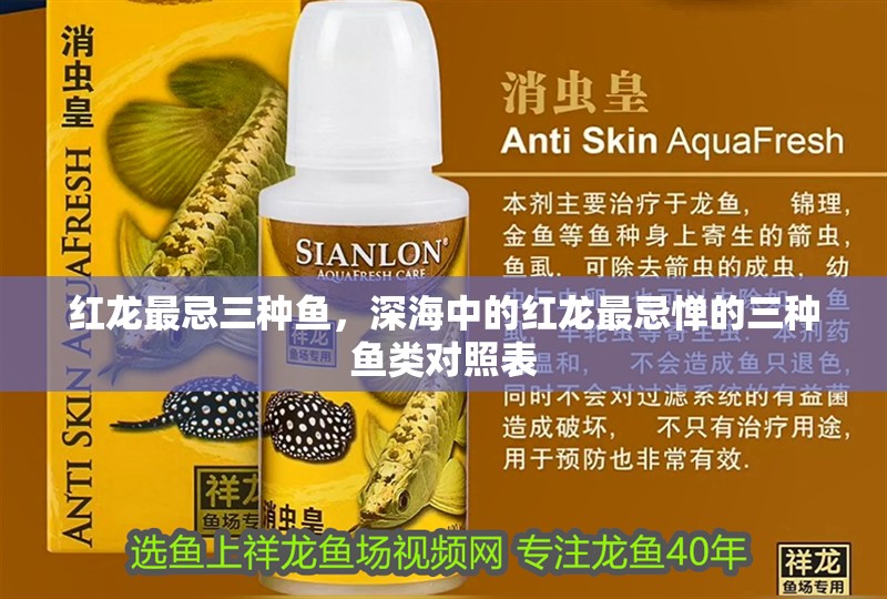 紅龍最忌三種魚，深海中的紅龍最忌憚的三種魚類對照表