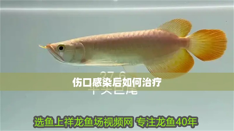 傷口感染后如何治療