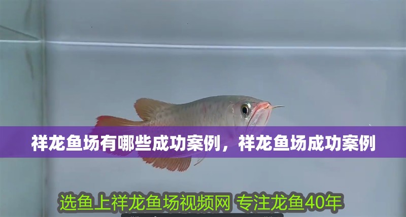 祥龍魚場有哪些成功案例，祥龍魚場成功案例