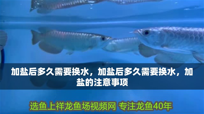 加鹽后多久需要換水，加鹽后多久需要換水，加鹽的注意事項