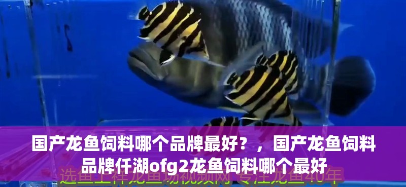 國產龍魚飼料哪個品牌最好？，國產龍魚飼料品牌仟湖ofg2龍魚飼料哪個最好