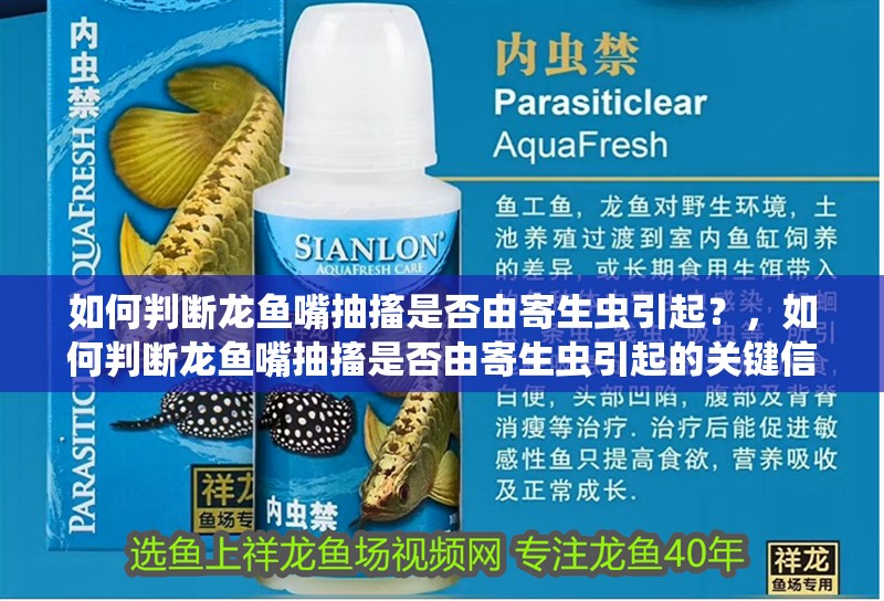 如何判斷龍魚(yú)嘴抽搐是否由寄生蟲(chóng)引起？，如何判斷龍魚(yú)嘴抽搐是否由寄生蟲(chóng)引起的關(guān)鍵信息