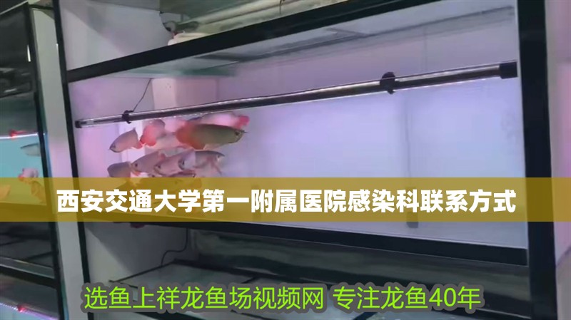 西安交通大學第一附屬醫院感染科聯系方式