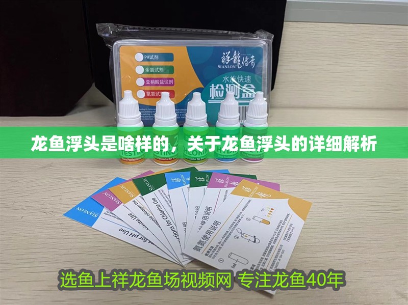 龍魚浮頭是啥樣的，關于龍魚浮頭的詳細解析