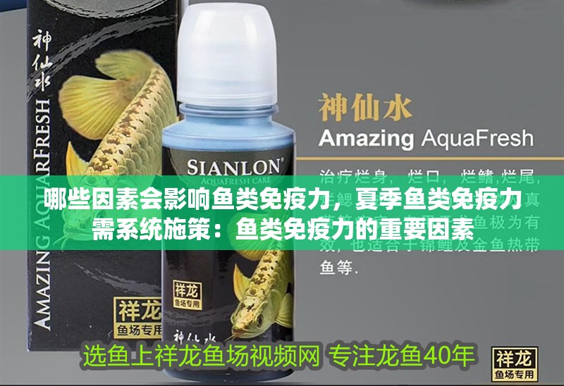哪些因素會影響魚類免疫力，夏季魚類免疫力需系統施策：魚類免疫力的重要因素