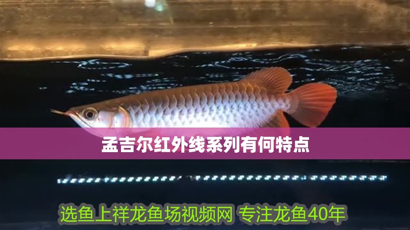 孟吉爾紅外線系列有何特點