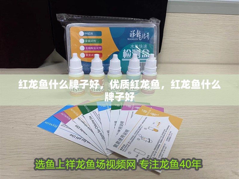 紅龍魚什么牌子好，優(yōu)質(zhì)紅龍魚，紅龍魚什么牌子好