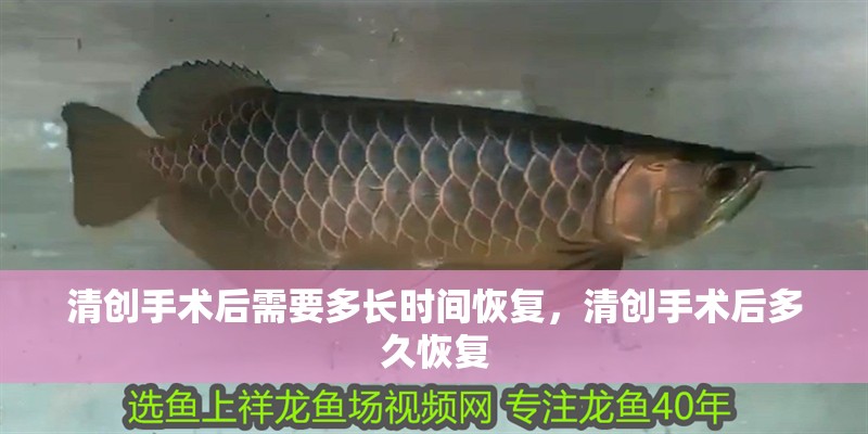 清創手術后需要多長時間恢復，清創手術后多久恢復
