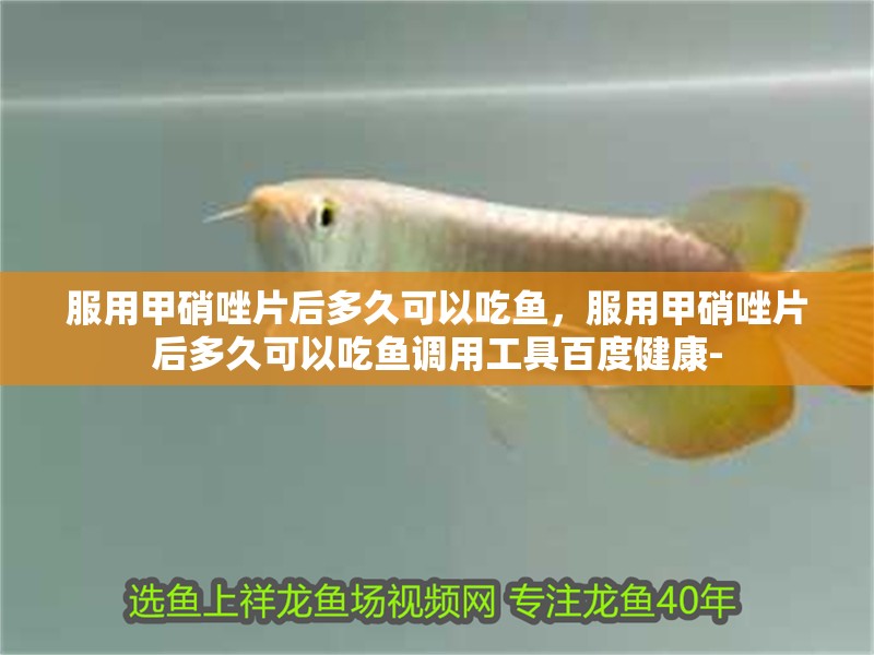 服用甲硝唑片后多久可以吃魚，服用甲硝唑片后多久可以吃魚調用工具百度健康-