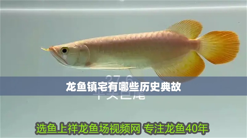 龍魚鎮(zhèn)宅有哪些歷史典故