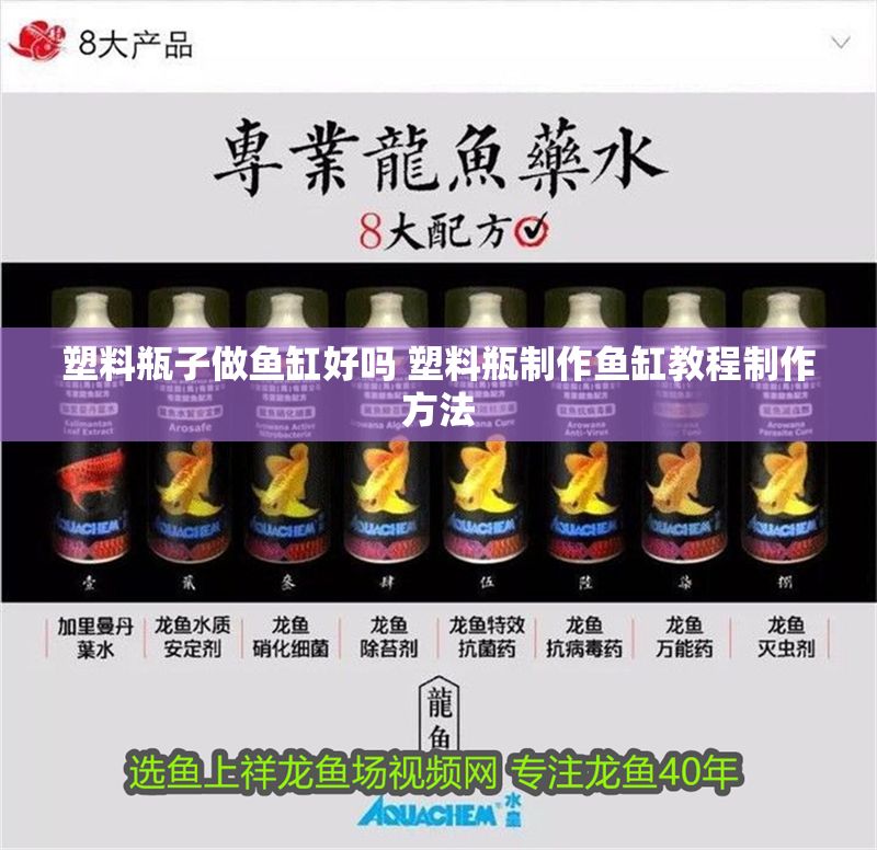 塑料瓶子做魚缸好嗎 塑料瓶制作魚缸教程制作方法