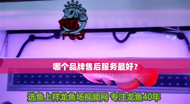 哪個(gè)品牌售后服務(wù)最好？