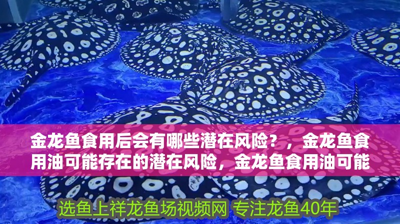 金龍魚食用后會(huì)有哪些潛在風(fēng)險(xiǎn)？，金龍魚食用油可能存在的潛在風(fēng)險(xiǎn)，金龍魚食用油可能存在風(fēng)險(xiǎn)