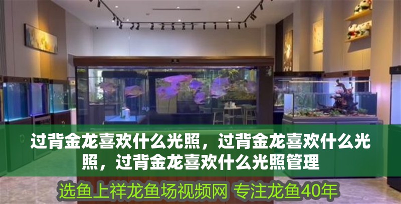 過背金龍喜歡什么光照,過背金龍喜歡什么光照,過背金龍喜歡什么光照管理