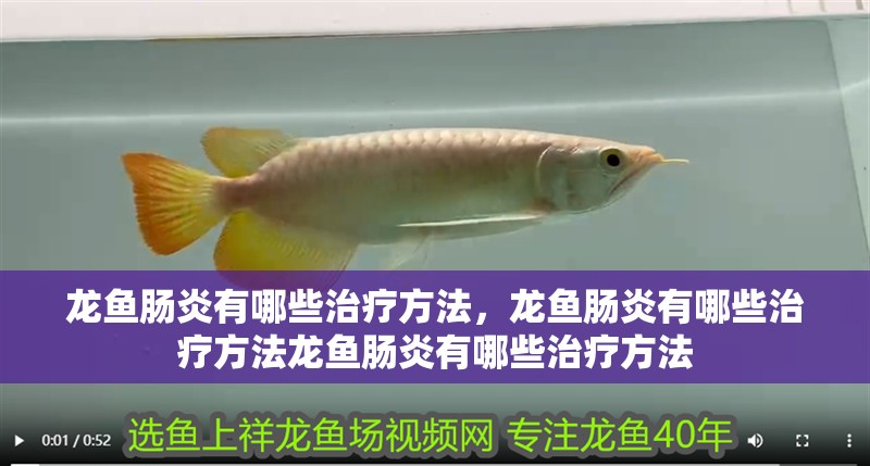 龍魚腸炎有哪些治療方法，龍魚腸炎有哪些治療方法龍魚腸炎有哪些治療方法
