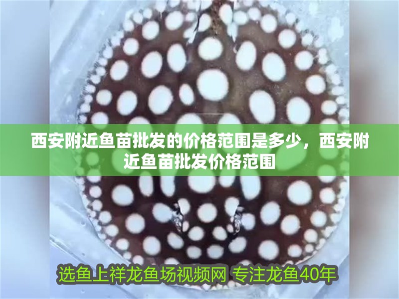 西安附近魚苗批發的價格范圍是多少，西安附近魚苗批發價格范圍