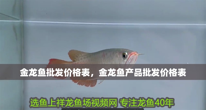 金龍魚批發價格表，金龍魚產品批發價格表