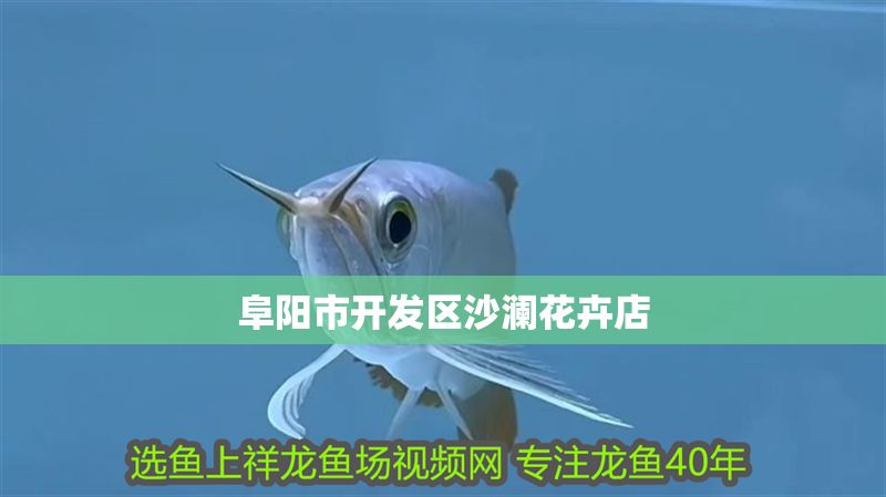 阜陽市開發區沙瀾花卉店