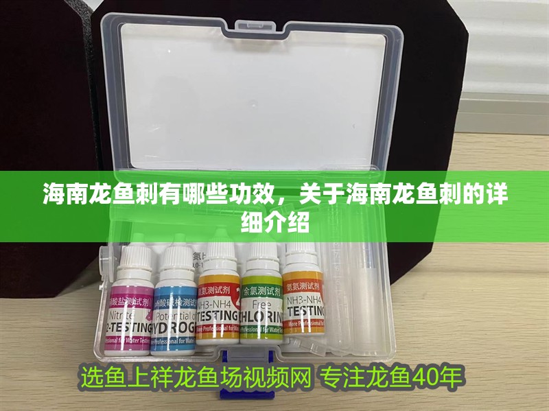 海南龍魚刺有哪些功效，關于海南龍魚刺的詳細介紹