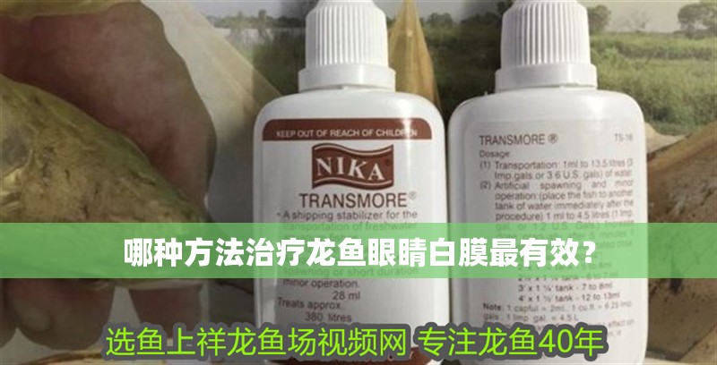 哪種方法治療龍魚眼睛白膜最有效？
