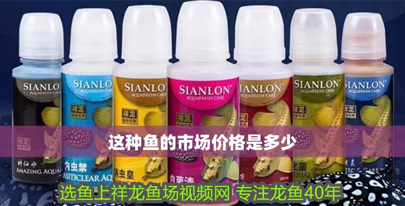 這種魚的市場價格是多少