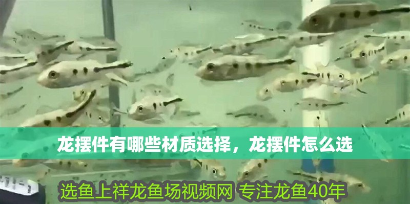龍擺件有哪些材質選擇，龍擺件怎么選