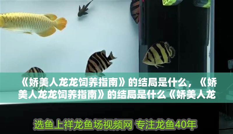 《嬌美人龍龍飼養(yǎng)指南》的結(jié)局是什么，《嬌美人龍龍飼養(yǎng)指南》的結(jié)局是什么《嬌美人龍龍飼養(yǎng)指南》的結(jié)局是什么