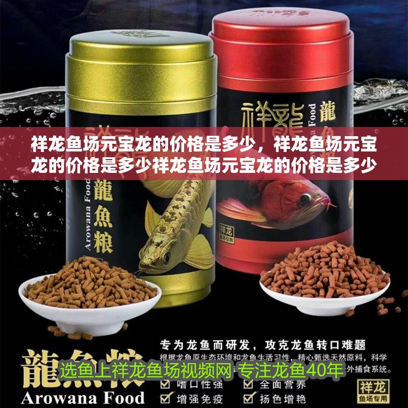 祥龍魚(yú)場(chǎng)元寶龍的價(jià)格是多少，祥龍魚(yú)場(chǎng)元寶龍的價(jià)格是多少祥龍魚(yú)場(chǎng)元寶龍的價(jià)格是多少